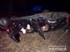 ДТП у Суховолі: БМВ злетів у кювет і перекинувся
