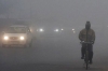 На Рівненщині оголосили штормове попередження через туман на дорогах