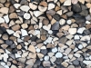 На Рівненщині продали цьогоріч значно більше дров, ніж торік