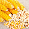 На Рівненщину могли завезти отруйну кукурудзу для попкорну