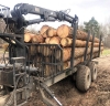 На Сарненщині суди наклали арешт на деревину