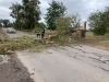 Негода повалила дерево на об'їзну дорогу в Рівненському районі