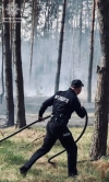 Патрульні разом з рятувальниками загасили лісову пожежу