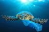 Пластик у Середземному морі: найбільше скидає Єгипет