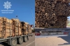 Поблизу Корця виявили вантажівку деревини з підробленими документами