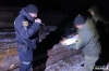 Поліція знайшла 29 колод, а власник пилорами з Полісся нічого не пояснює 