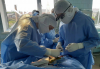 Рівненські лікарі встановили у череп підлітка титанову пластину