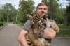 Рівненському зоопарку віддали тигрицю (ФОТО)