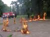 Різьбярі підпалили дерев’яні скульптури, які вирізали у рівненському парку 