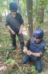 Снаряди та гранати: на Рівненщині сапери знищили півсотні боєприпасів