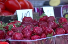 На рівненському ринку – сезон полуниці