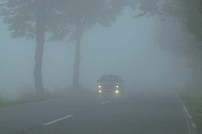 Завтра на Рівненщині очікується сильний туман