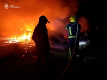 У селян на Сарненщині згоріло 3 тонни сіна